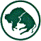 Buffalo Airways