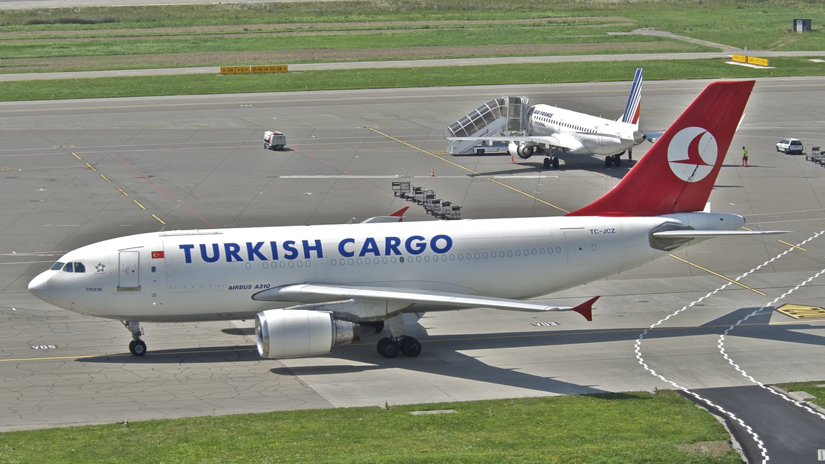 Foto schema e livrea ufficiale del modello di aereo Airbus A310-300F