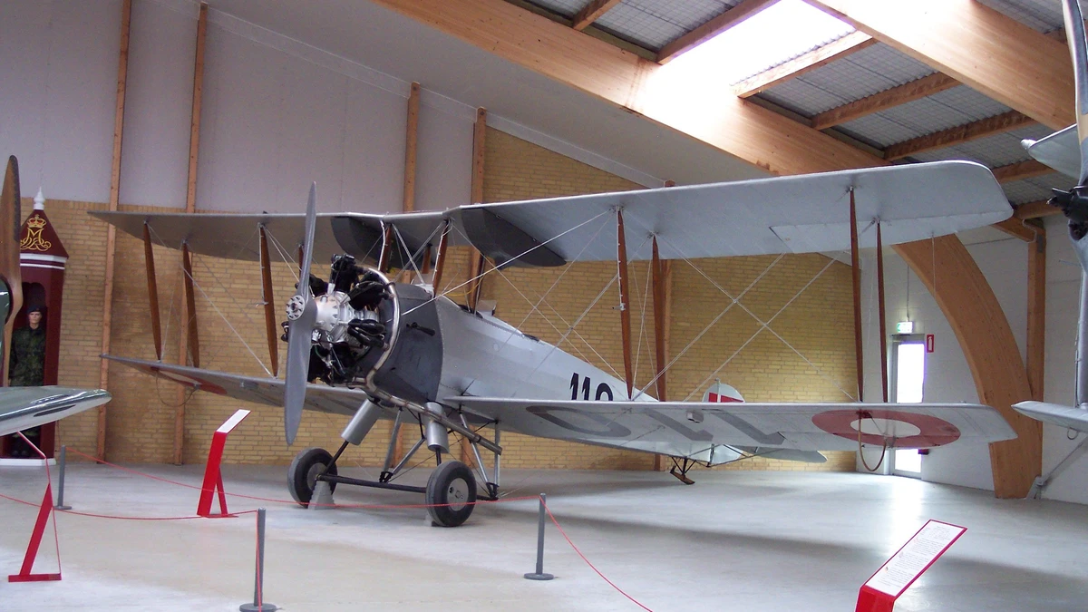 Foto schema e livrea ufficiale del modello di aereo Avro 504N