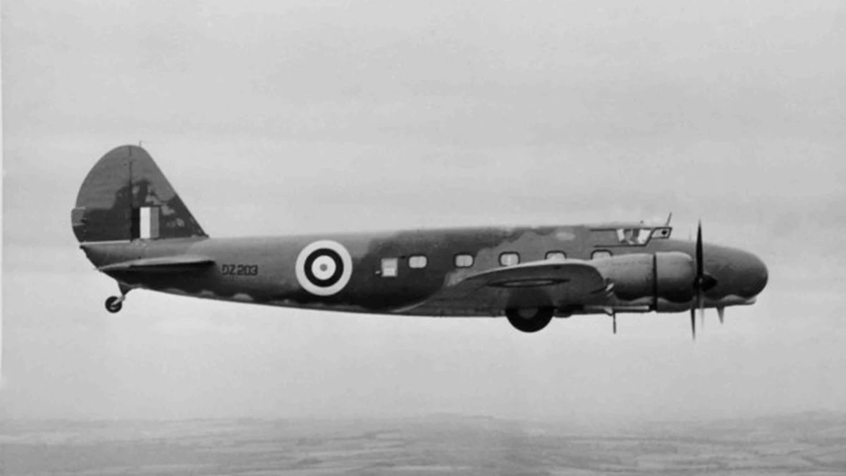 Foto schema e livrea ufficiale del modello di aereo Boeing 247D