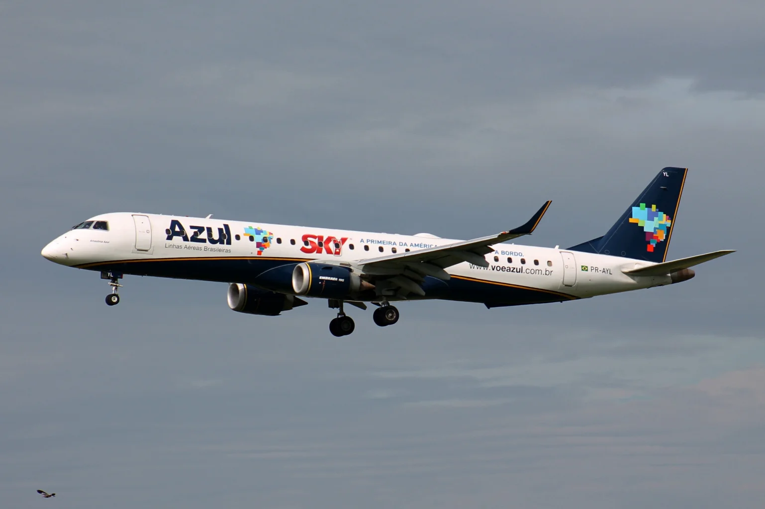 Foto schema e livrea ufficiale del modello di aereo Embraer E195