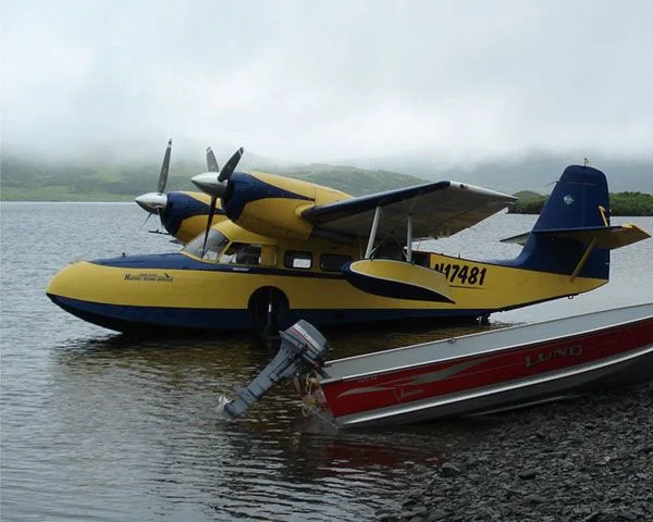 Foto schema e livrea ufficiale del modello di aereo Grumman G-44 Widgeon