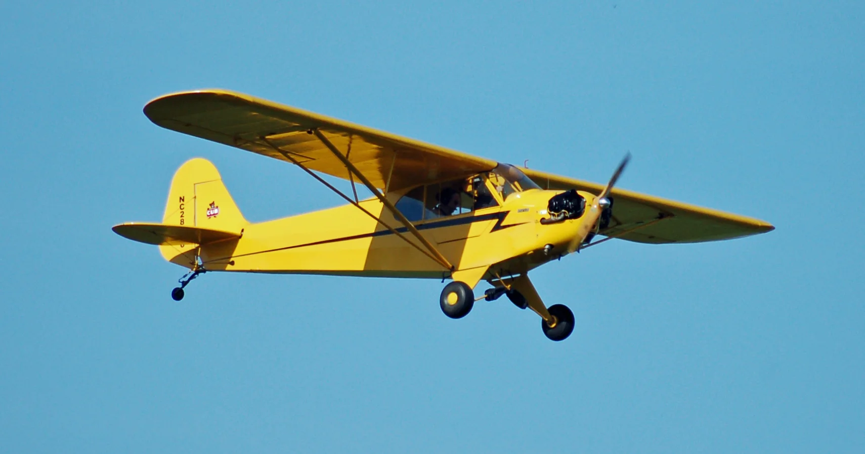 Foto schema e livrea ufficiale del modello di aereo Piper J-3 Cub