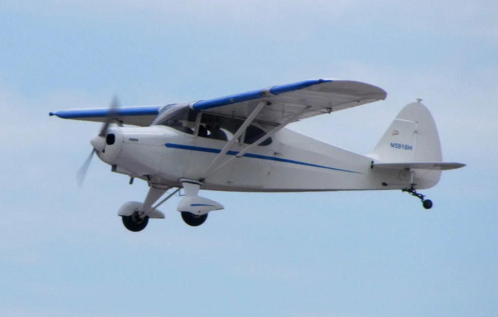 Foto schema e livrea ufficiale del modello di aereo Piper PA-16 Clipper