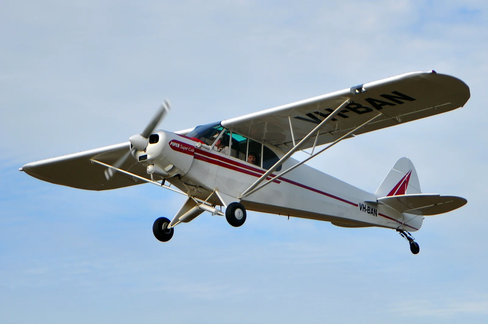 Foto schema e livrea ufficiale del modello di aereo Piper PA-18 Super Cub