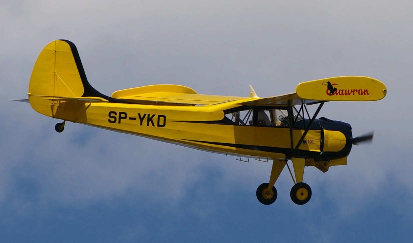 Foto schema e livrea ufficiale del modello di aereo PZL PZL-101 Gawron