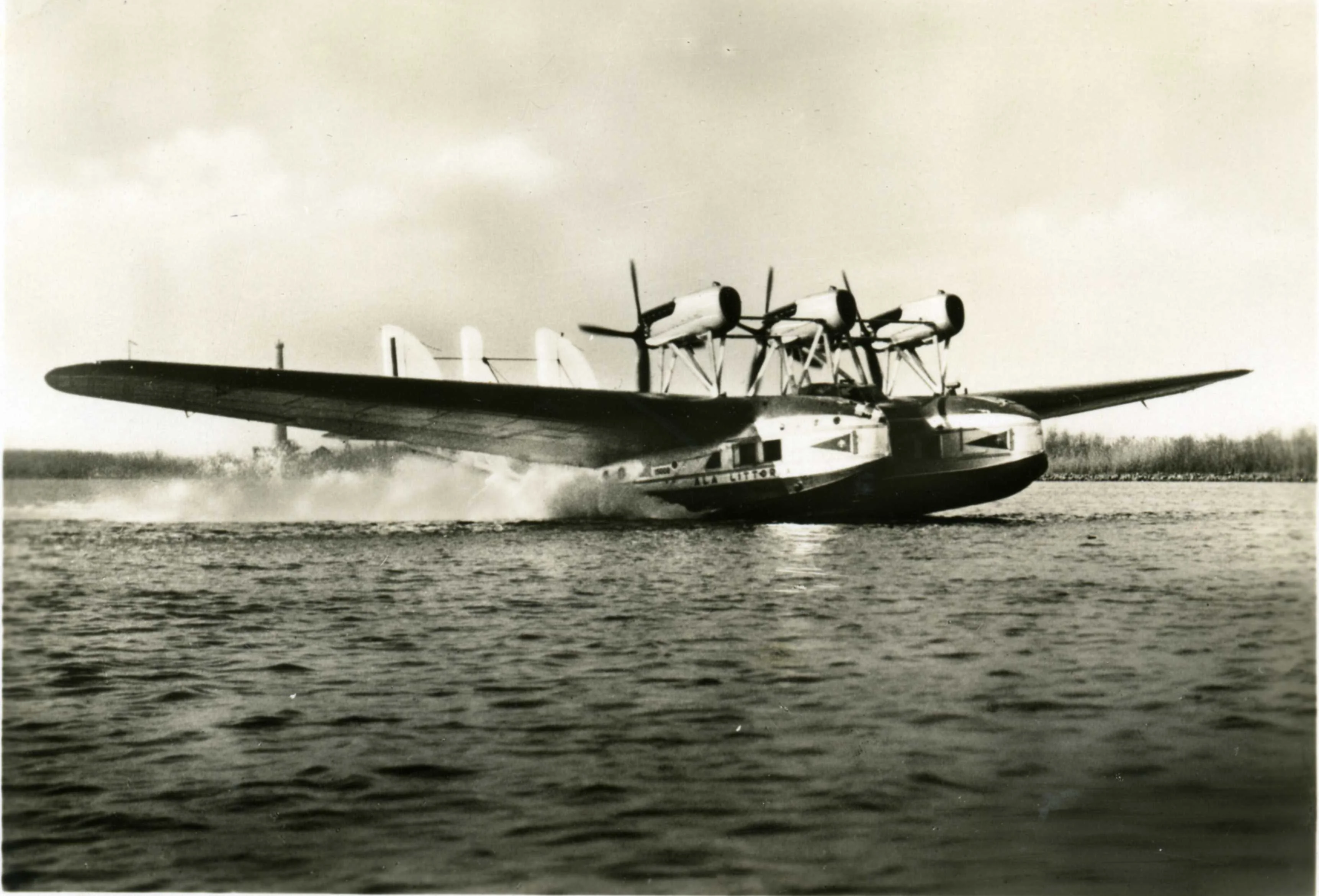 Foto schema e livrea ufficiale del modello di aereo Savoia-Marchetti S.66