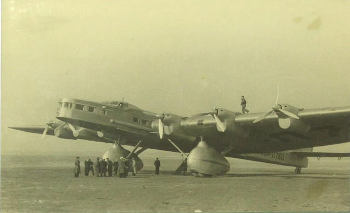 Foto schema e livrea ufficiale del modello di aereo Tupolev ANT-20